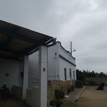 Casa Rural Masia D'En Gall L'Aldea Eksteriør bilde